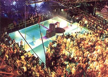 Privilege Ibiza