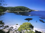 Las Salinas